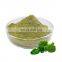 Natural Broccoli Extract Powder, Broccoli Extract Sulforaphane 1%