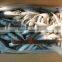 High quality horse mackerel(Decapterus maruadsi) 120-160 pcs