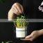 Amazon Hot Sold Gardening Home Plastic Wall Pots Fun Cordoba Mounted Orchids Artificial Flowers Balcony Hanging Flower Pot