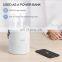 Amazon Top Seller Mini Humidifier Portable Wireless Cool Mist Nebulizer Car USB Double-Head Spray Ultrasonic Air Humidifiers