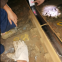 laser alignment device for measuring railway track level