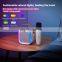 Family KTV Bluetooth Dual Speaker Led Flashing Light Wireless Outdoor Speaker