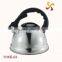 2.5L eco-friendly s/s water kettle with full color coating tea pot