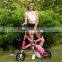 OEM Certification and Lithium Battery Power Supply electric bicycle