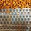 industry automatic fried nuts machine/curtain oil fryer