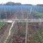 Anti-birds Netting|fence |nets