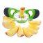 plastic cutter Apple Cutter apple knife