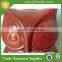 Red Owl Vintage Design Handmade Resin Money Bank