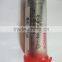 Fuel Injection Pump Plunger 2418455016 for Diesel pump