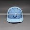 CUSTOM 3D EMBROIDERY LOGO 6-PANAL SNAPBACK CAP WHOLESALE CAP