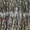 Pretty popular water transfer film trees skin patterns No.MA485-2 hydro dipping graphics water transfer printing film