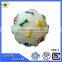 Custom Footprint Pattern Pet Vinyl Ball Toys,squeaky Vinyl Ball Dog Toys