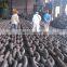 Common Marine Anchor Chain