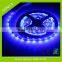 LED amusement lights ST3528N60/120 Gouly brand 24w 5m length