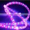 Led rope light chinese holiday ornament