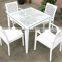 Eco-friendly Garden Wicker Table and Chair Pation Leisure Rattan Furniture