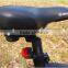 250W Folding Electric Mountain Bike with Hidden Battery
