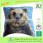 Photo Printed Bear Square Cushion Covers