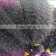 2016 New Products Brazilian Afro Kinky Hair Extensions 100% Unprocessed Afro Kinky Human Hair For Braiding
