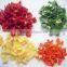 air dried ad vegetables