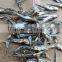 DRIED ANCHOVY FISH