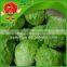 Environmental protection leaf lettuce from highland mountain iceberg type lettuce