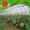 wholesale red yellow watermelon Farm Growing watermelon fake watermelon