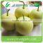 2016 New china bulk fresh crown pear