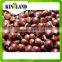 chinese fresh chestnuts for sale