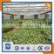 agriculture greenhouse professional vegetable greenhouse flower greenhouse manufacture in China