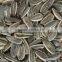 2016 Chinese sunflower seeds price