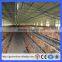 Africa layer chicken cage/laying battery hens cage/poultry farming equipment(Guangzhou Factory)