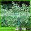 green plastic pe plant support net, anti bird net