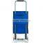 Hot Sell Foldable Shopping Trolley Bag Trolley Storage Bag