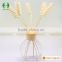 High quality new arrival natural curled rattan diffuser sticks