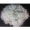 Hollow Conjugated Polyester, regenerated