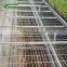 Coconut Plant Nursery Greenhouse Rolling Seedbed Benches