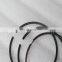 China Factory Price Construction Machinery Diesel Engine Piston Ring Kit QST30 Piston Ring Set 3804708 3092569