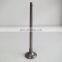 machinery diesel engineL10 intake valve 3033234