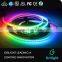 Digital led strip 12v led waterproof rope light for Wedding Party Christmas Decoration
