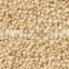 Best Quality Organic Amaranth Seeds Suppliers