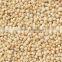 High Quality Amaranth seeds at your door step