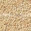 Best Quality Organic Amaranth Seeds Suppliers