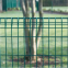 Hot Dipped Galvanised Brc Roll Top Brc Fence/Lowes Fence Panels for Sale