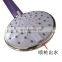 Stsinless Steel Showerhead Black Round Small Online 5 Function Amazon Rose Shower Head With Rainfall