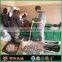 Factory price Coconut shell charcoal powder bbq briquette making machine