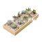 Factory Planter Vase Set Luxury 10 Pcs Small Pots Flower Pot Golden Wood Tray Felt Ceramic Home Used with Flower/green Plant 30