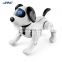 2022 New RC Robot JJRC R19 Intelligent Toy Interactive Singing Storytelling Remote Control Robot Dog Gift For Kids