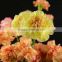 New manufacture carnation flower as gift