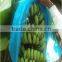 Blue Plastic Banana Bunch Bag With Perforations